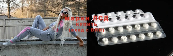 стафф Богданович
