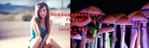 спайс Богородск