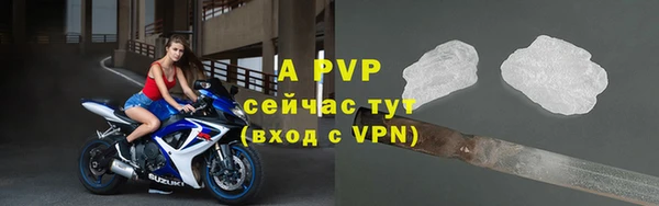 стафф Богданович