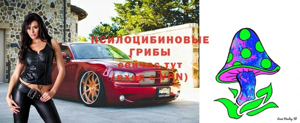 стафф Богданович