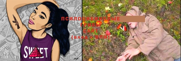 стафф Богданович
