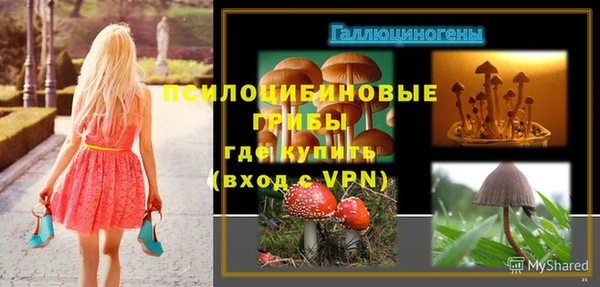 спайс Богородск