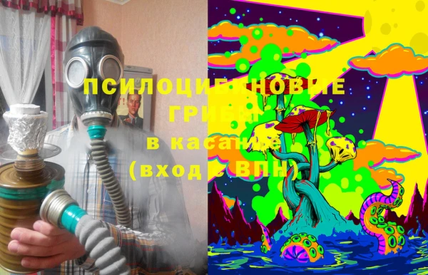 спайс Богородск