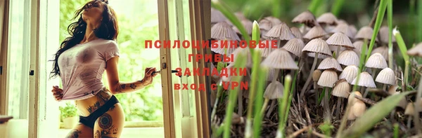 PSILOCYBIN Нижний Тагил
